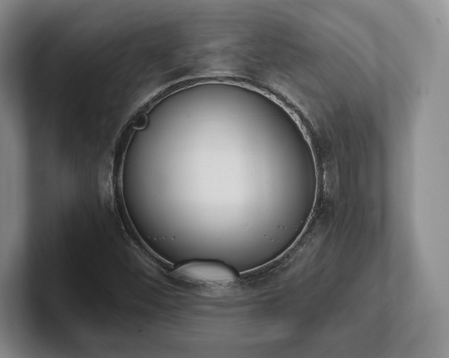 X0000102471452200808151418