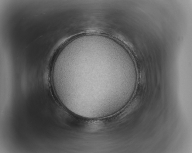 X0000102471454200808151418