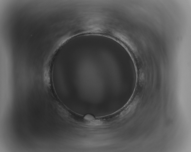 X0000102471455200808151418