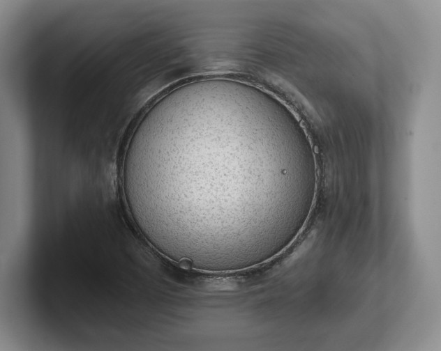 X0000102471457200808151418