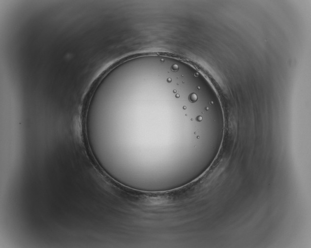 X0000102471460200808151418
