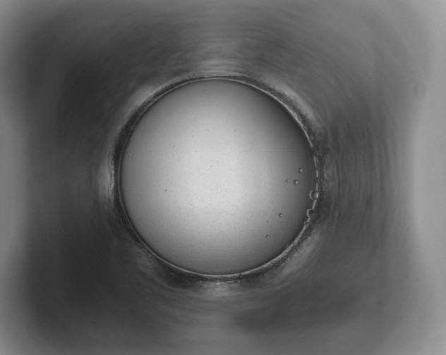 X0000102471461200808151418