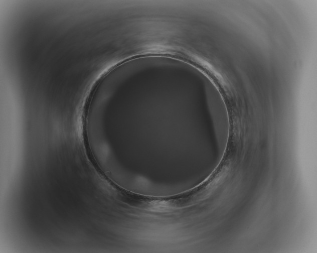 X0000102471463200808151418