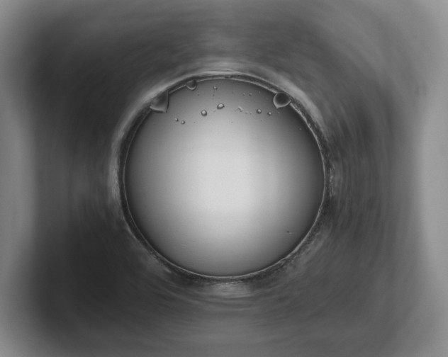 X0000102471464200808151418