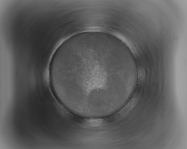 X0000102471466200808151418