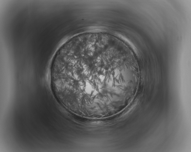 X0000102471467200808151418