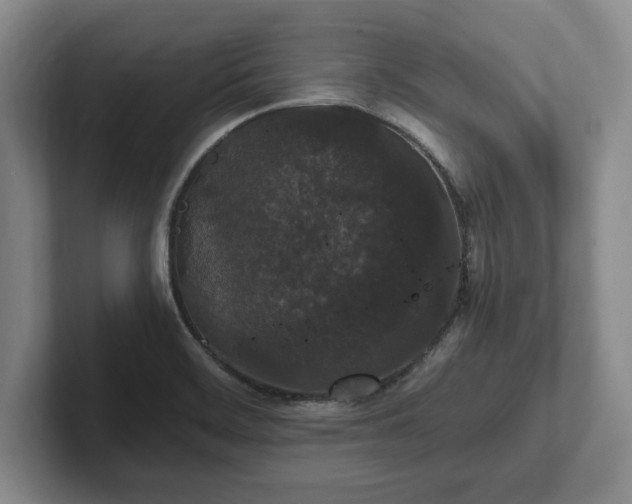 X0000102471468200808151418