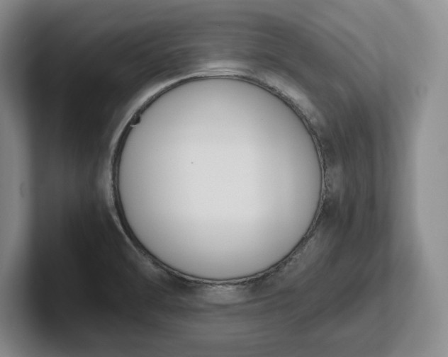 X0000102471470200808151418