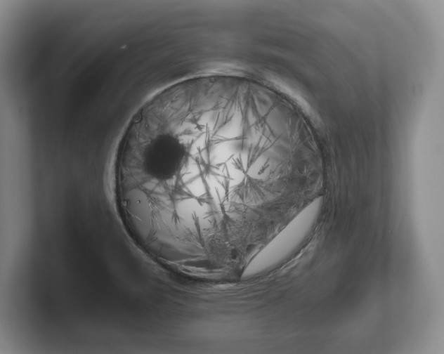 X0000102471471200808151418