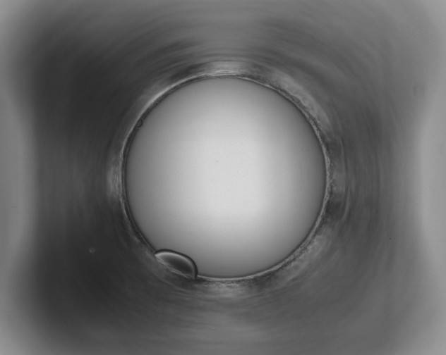X0000102471473200808151418