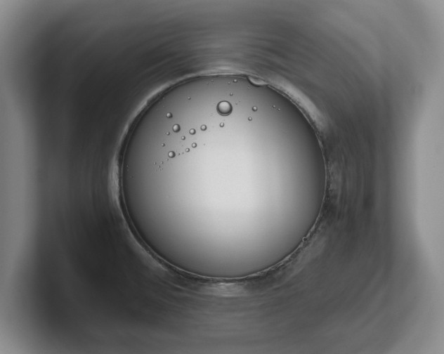 X0000102471476200808151418