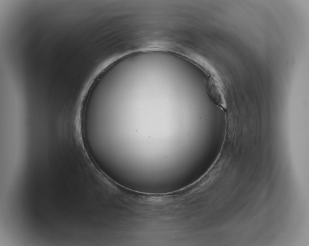 X0000102471480200808151418