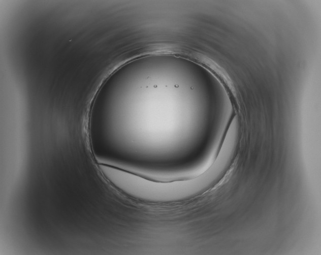 X0000102471481200808151418