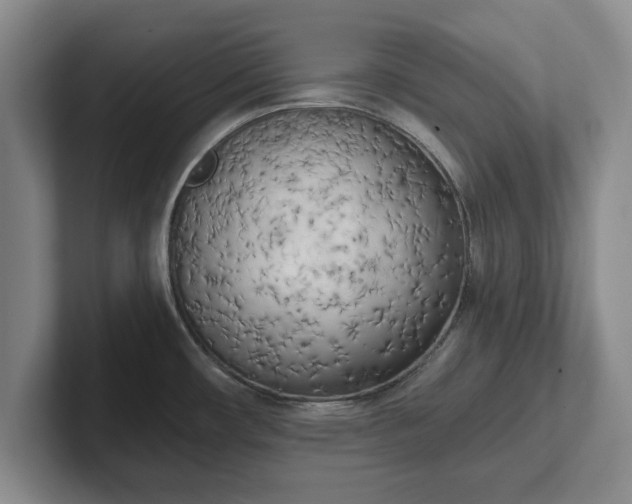 X0000102471482200808151418