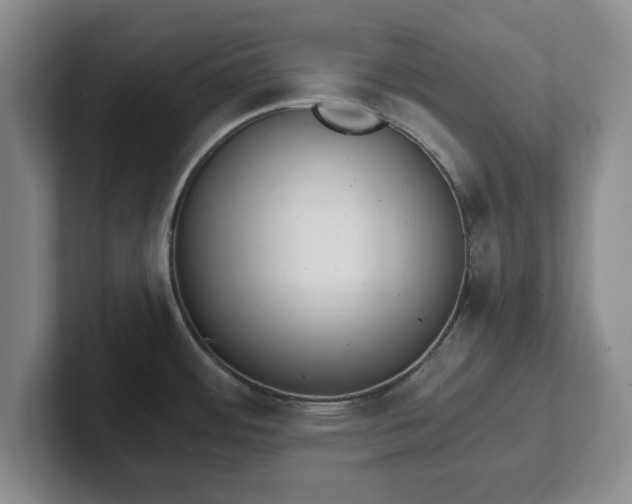 X0000102471484200808151418
