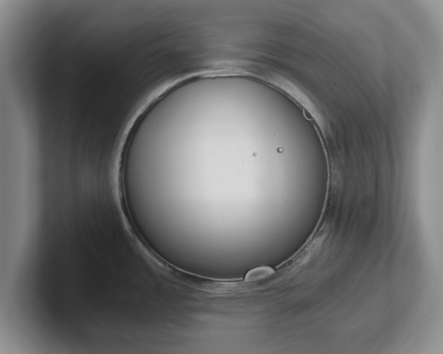 X0000102471485200808151418