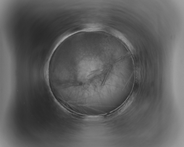 X0000102471487200808151418