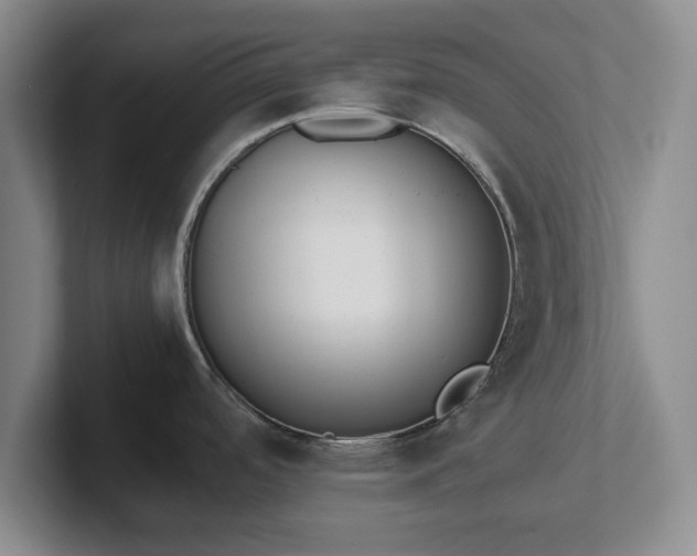 X0000102471488200808151418