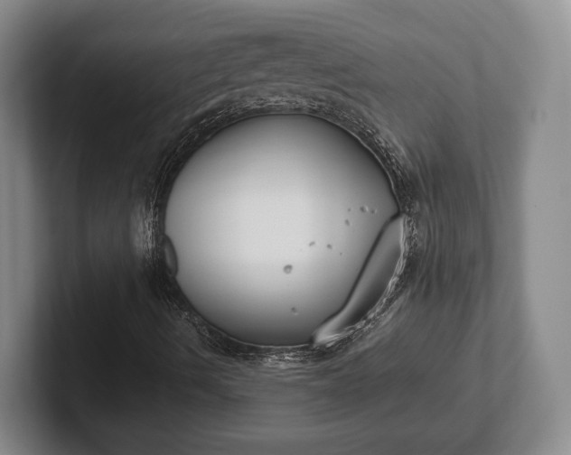 X0000102471490200808151417