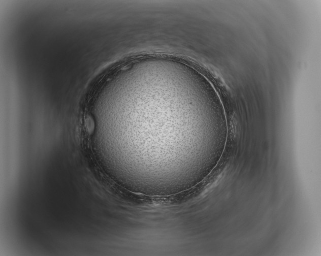 X0000102471494200808151417