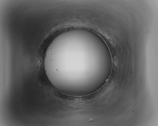 X0000102471495200808151417