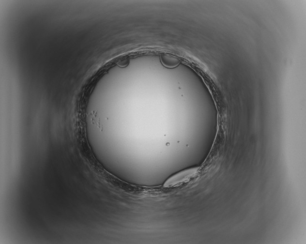 X0000102471496200808151417