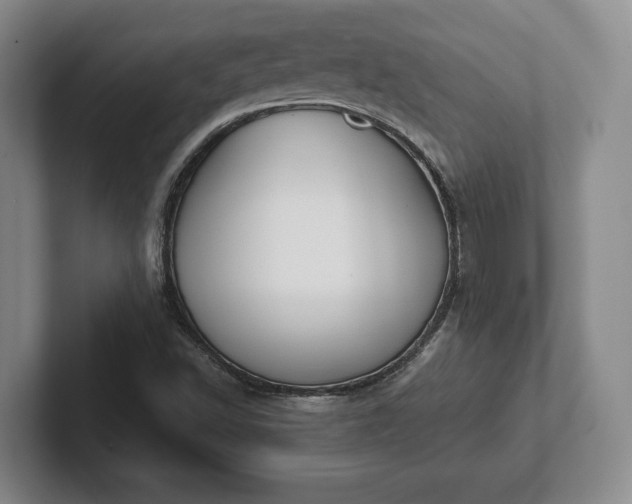 X0000102471502200808151417