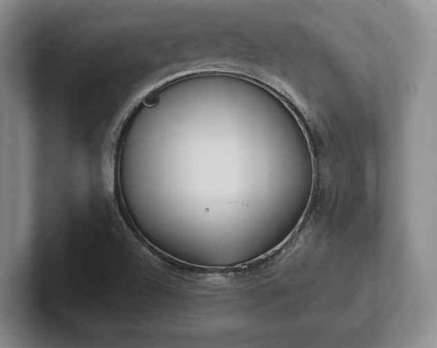 X0000102471504200808151417