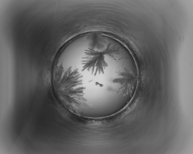 X0000102471505200808151417