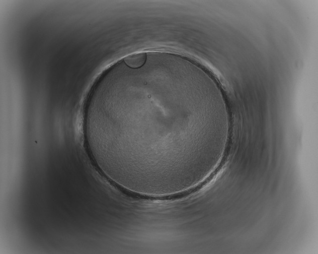 X0000102471506200808151417