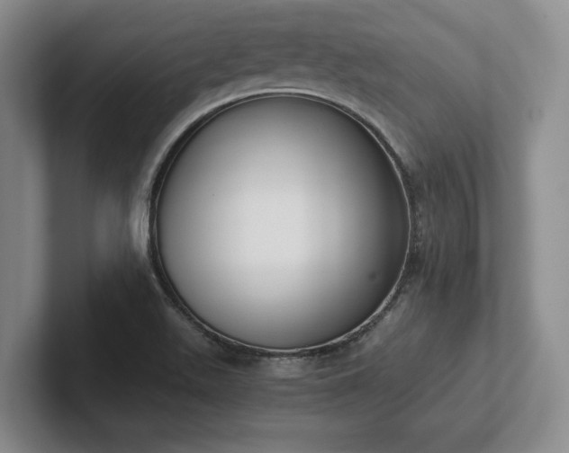 X0000102471511200808151417