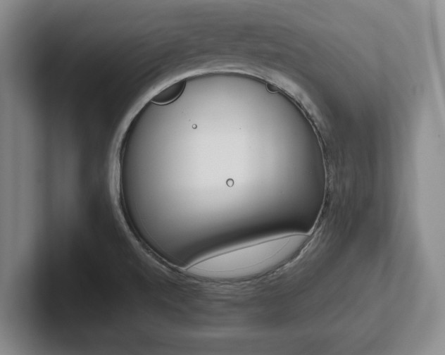 X0000102471520200808151417