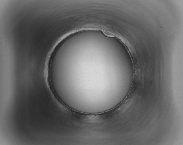 X0000102471523200808151417