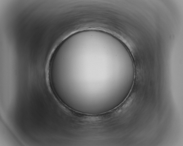 X0000102471525200808151417