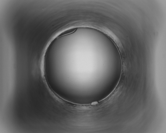 X0000102471528200808151417
