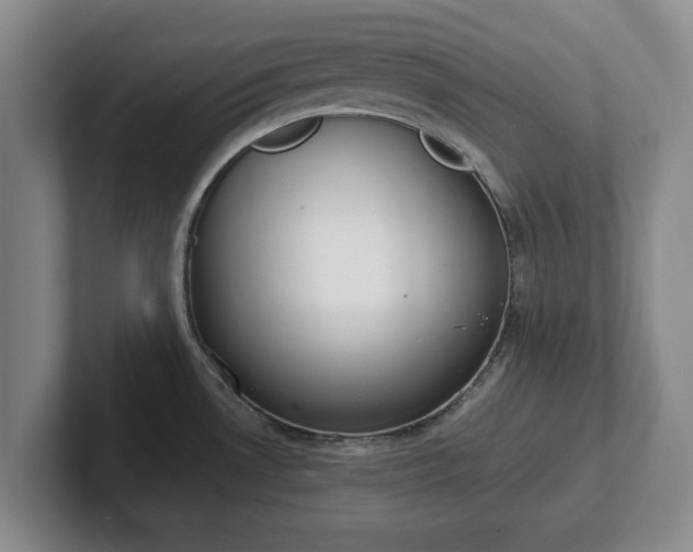 X0000102471530200808151417