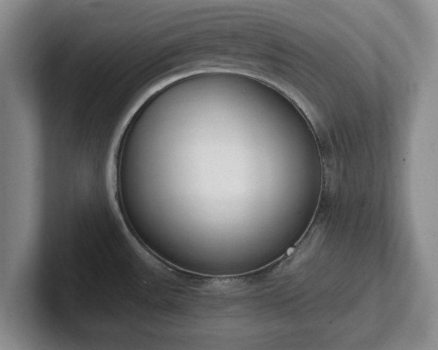 X0000102471531200808151418