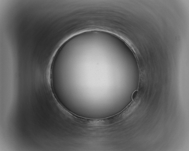 X0000102471535200808151418