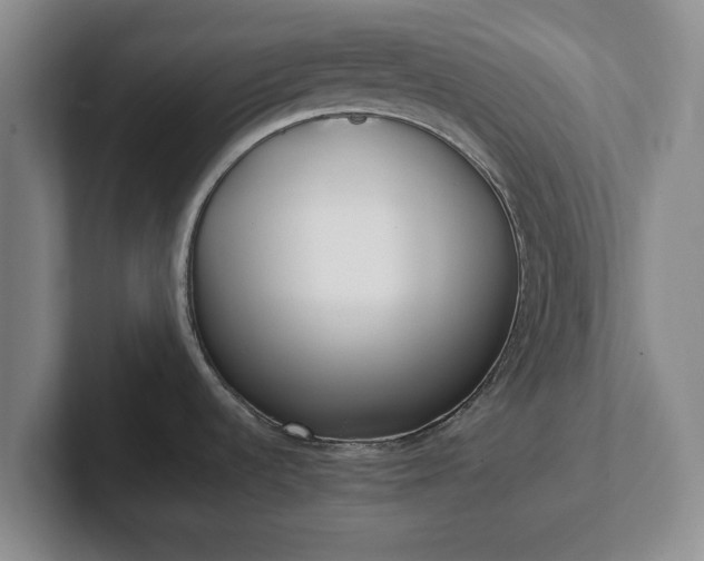 X0000102471536200808151418