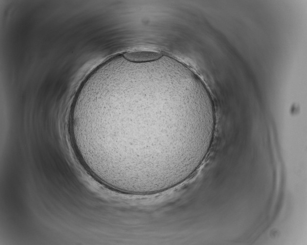 X0000102470001200808221654