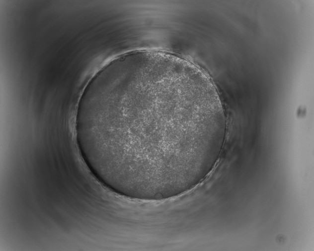 X0000102470002200808221654