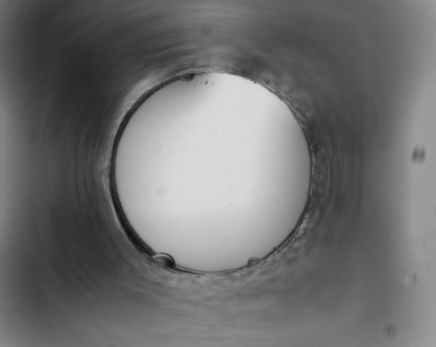 X0000102470003200808221654