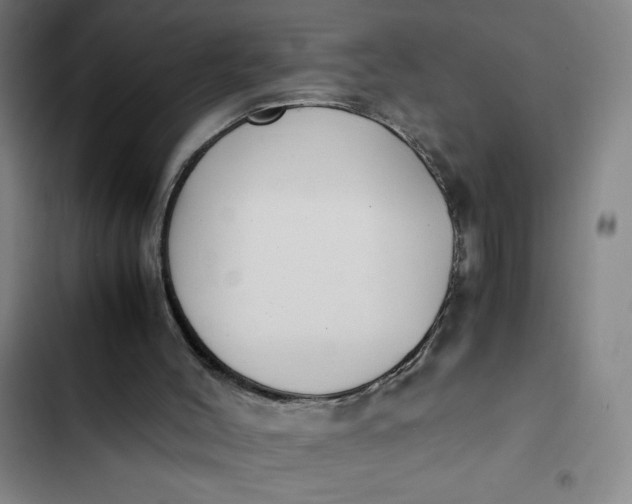 X0000102470004200808221654
