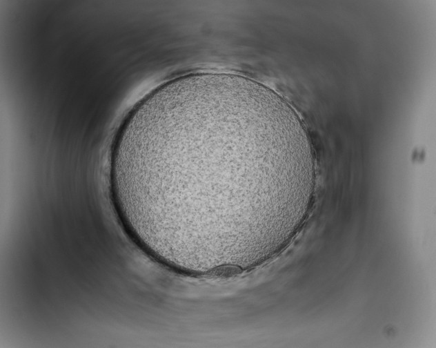 X0000102470005200808221654