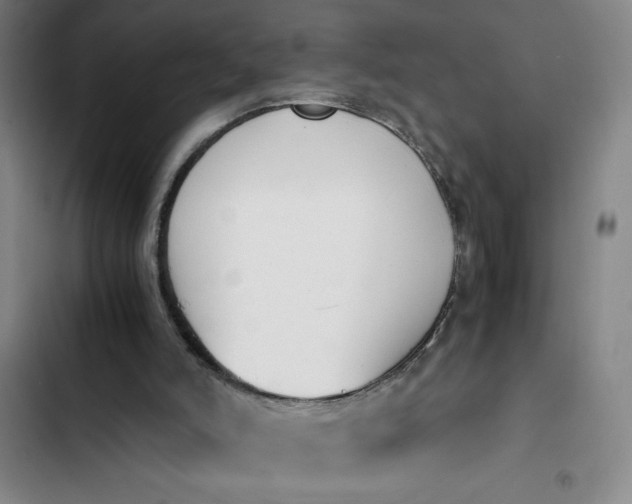 X0000102470006200808221654
