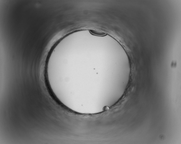 X0000102470007200808221654
