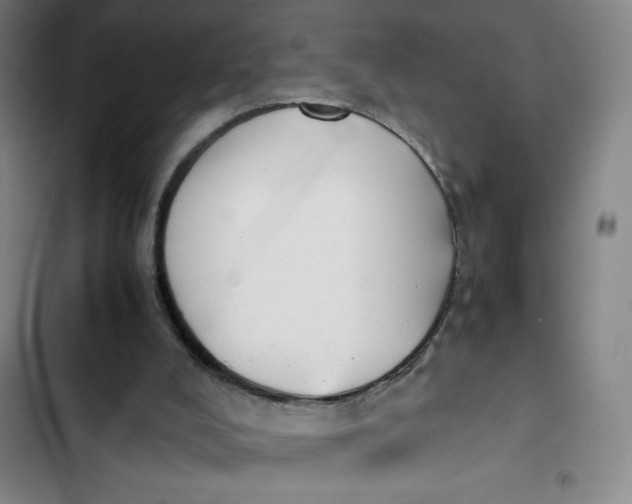 X0000102470008200808221654