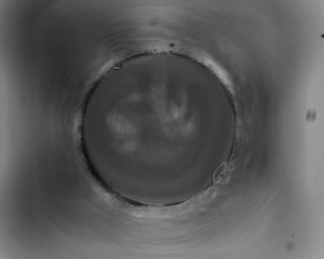 X0000102470009200808221654
