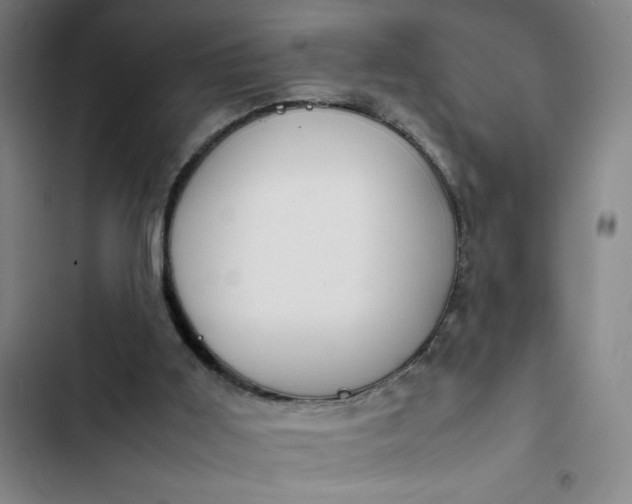 X0000102470011200808221654