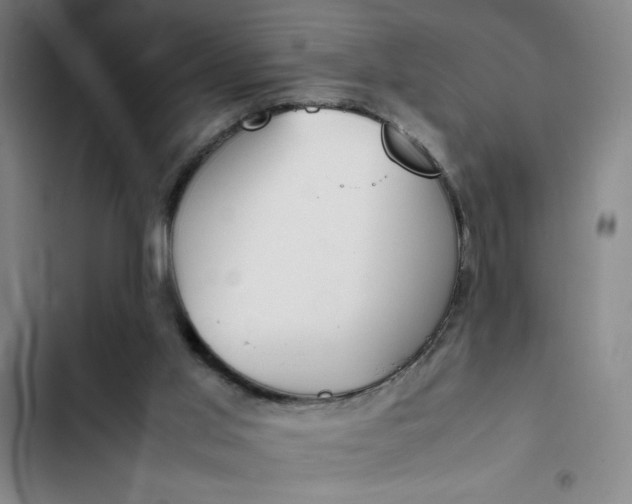X0000102470013200808221654